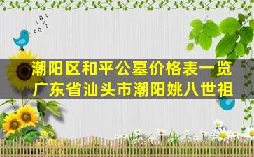 潮阳区和平公墓价格表一览 广东省汕头市潮阳姚八世祖